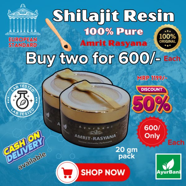 Amrit Rasyan Shilajit