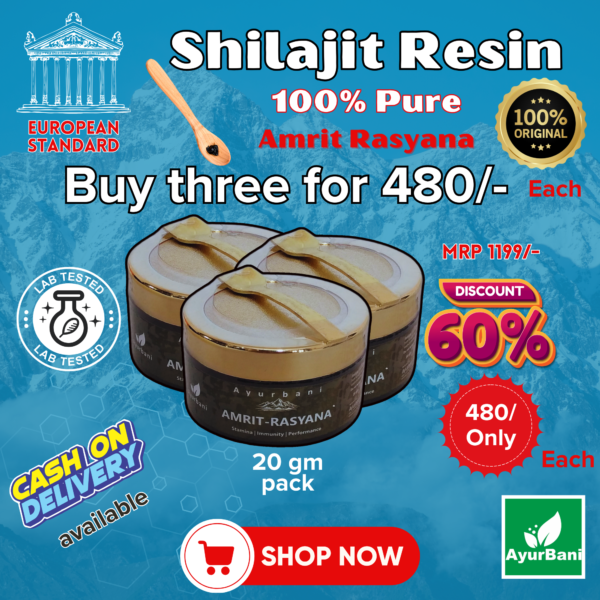 Amrit Rasyan Shilajit - Image 7